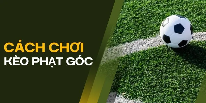 Tìm hiểu soi kèo phạt góc hôm nay ở đâu chính xác?