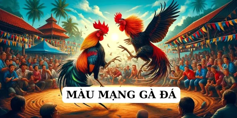 Màu mạng gà đá